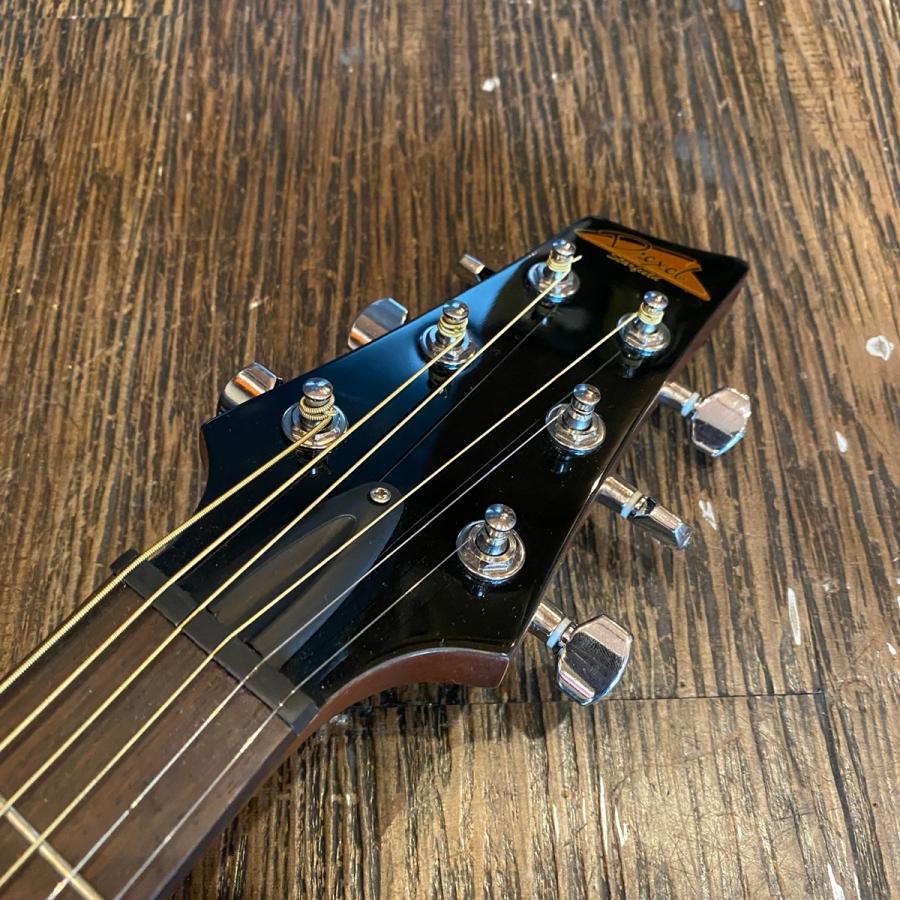 Drexel Starfield SD-22 Acoustic Guitar アコースティックギター
