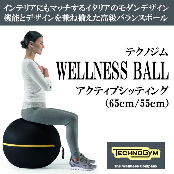 TECHNOGYM バランスボール 黒 55cm TECHNOGYM バランスボール 55cm