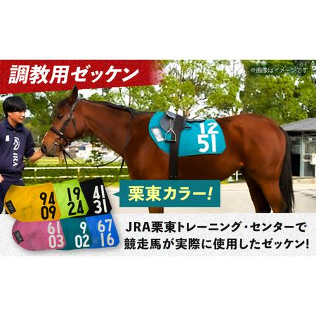 JRA必勝バイブル 奥村俊一の競馬赤本 希少本 JRA必勝バイブル 奥村俊一