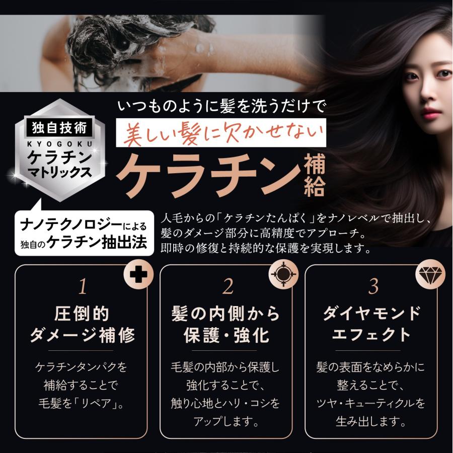 KYOGOKU PROFESSIONAL 公式 35%OFF 【 KYOGOKU ケラチンシャンプー