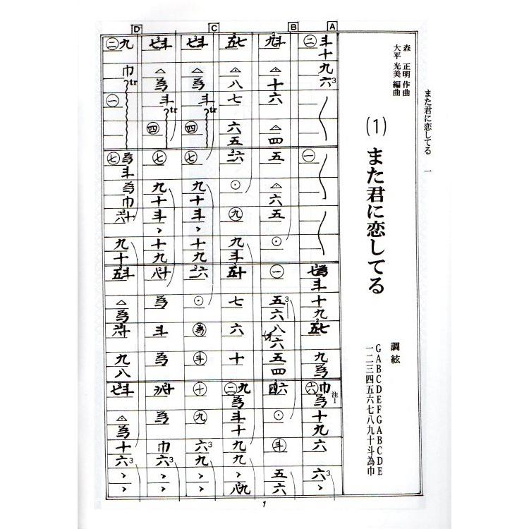 大日本家庭音楽会 他 箏曲 邦楽 楽譜・手引書 783冊セット 大日本家庭