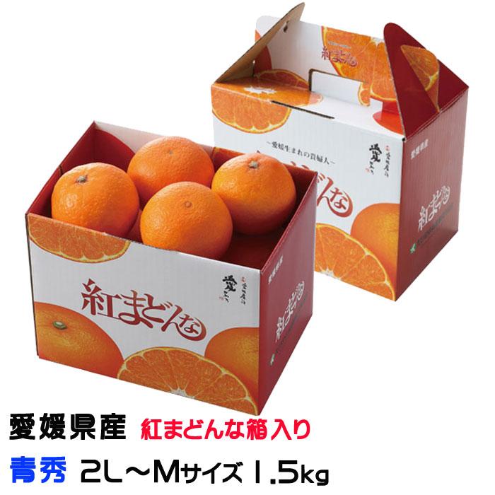 みかん 紅まどんな 青秀 2L〜Mサイズ 1.5kg 6玉〜10玉 愛媛県産 JA