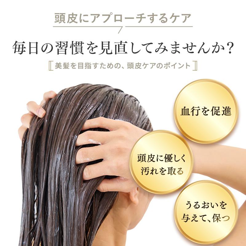 KAMIKA カミカ シャンプーセット KAMIKA 2本 10％オフ クリーム