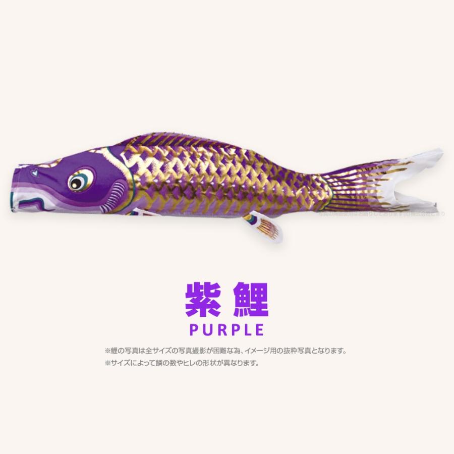 こいのぼり 単品 江戸錦鯉 3m 単品鯉 : 節句&ギフト専門店 ぷりふあ