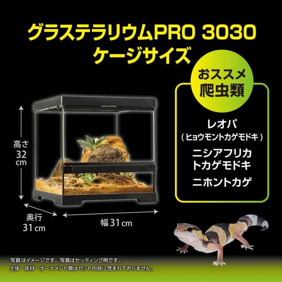 GEX（ジェックス） 【全国送料無料】 エキゾテラ グラステラリウムPRO