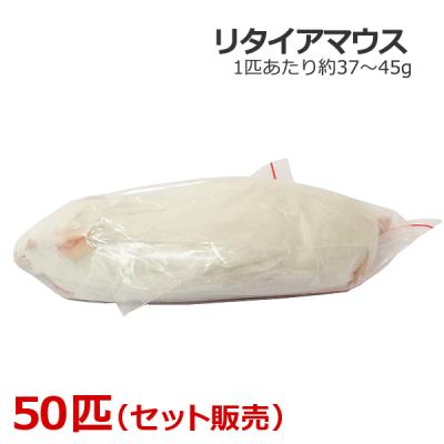 W 送料無料 冷凍マウスリタイア50匹ホッパー50匹 楽天市場】冷凍マウス
