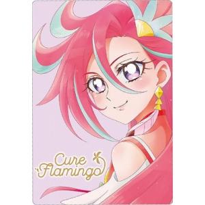 BANDAI（バンダイ） No.13 キュアアンジュ N プリキュアカード