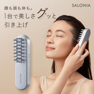Panasonic（パナソニック） EH-SP60-H [5年延長保証無料進呈