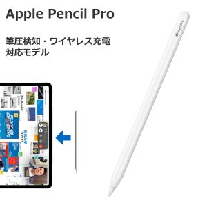 Apple [新品未使用・即納] Apple純正 Apple Pencil (USB-C) アップル