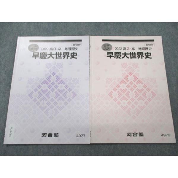 河合塾 早慶大世界史 2022 夏/冬期講習 計2冊 sale 006s0C : ブックス