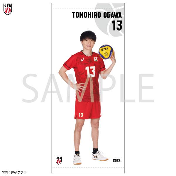 期間限定受注生産】 ミニタペストリー 2025バレーボール男子日本代表