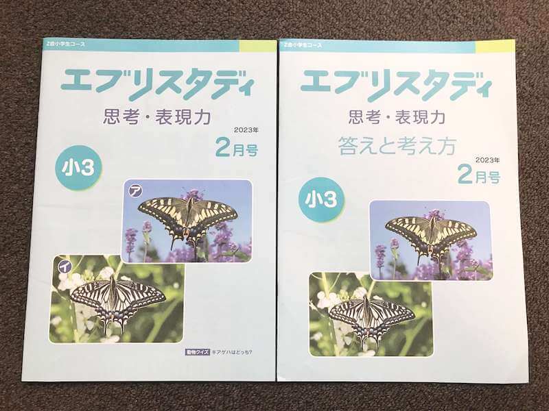 Z会「思考・表現力」は難しい？実際に娘が取り組んだ感想を徹底