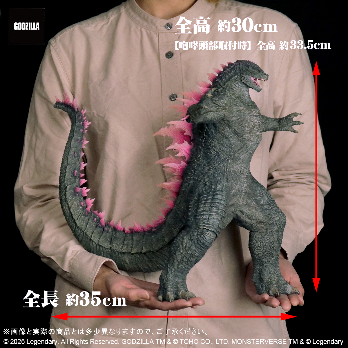 東宝大怪獣シリーズ/ ゴジラxコング 新たなる帝国: ゴジラ 2024