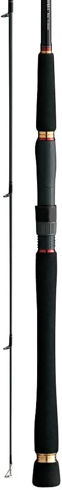 Amazon | ダイワ(DAIWA) シーバスロッド シーバスハンターX 96M 釣り竿