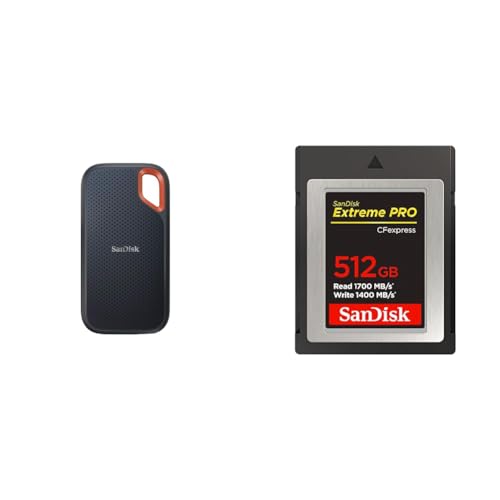 SDSSDE61-4T00」の人気商品一覧 | 安い商品を通販サイトから探す