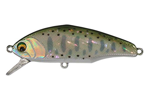 Dインサイトのおすすめカラー8選！Dコンとの違いは？ – Fish Paradise