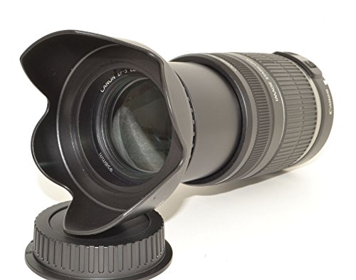 41sP-9VuxEL.jpg