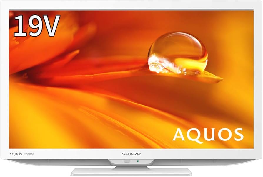 Panasonic液晶テレビ 19V型HDMI×2省エネUSB 外付けHDD録画 Panasonic