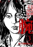 腕～駿河城御前試合～ (全4巻) Kindle版
