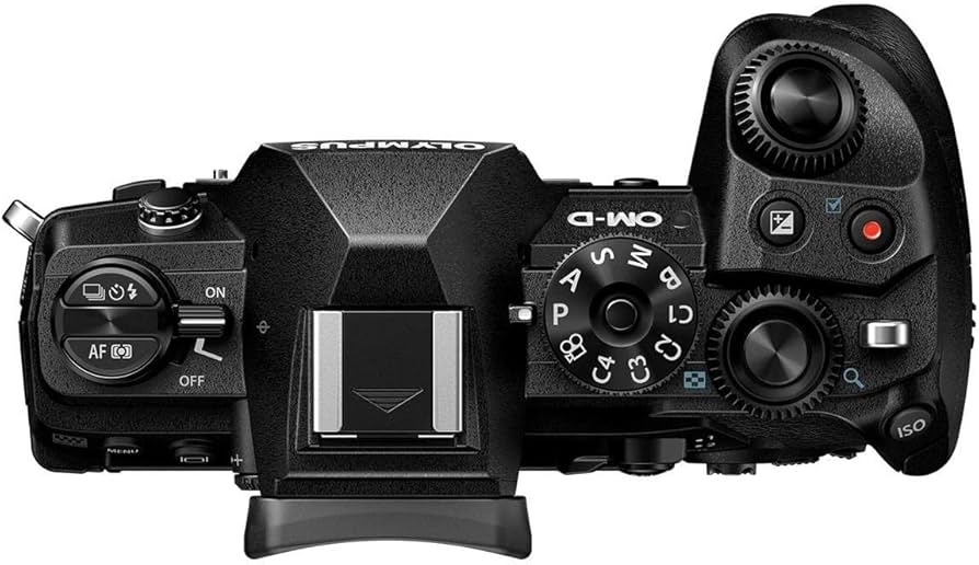 Amazon.com : OM SYSTEM Olympus OM-D E-M1 Mark III Black Camera