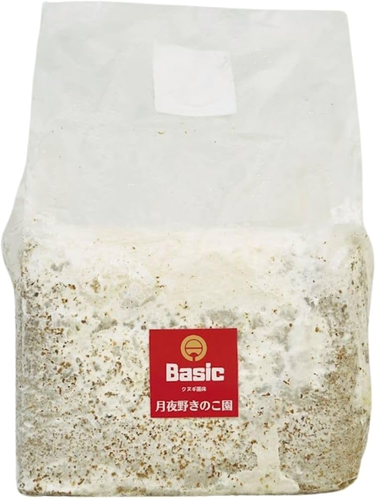 Amazon | 月夜野きのこ園 Basic 菌糸ブロック クワガタ幼虫飼育用 （1