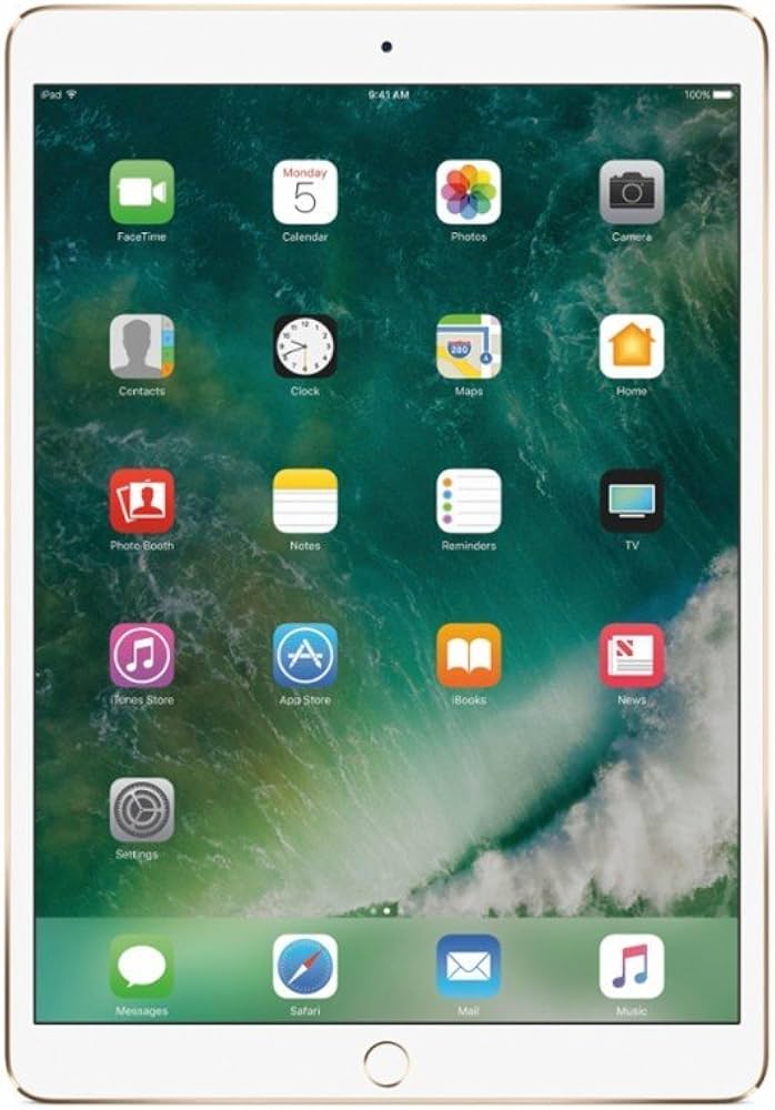 iPad Pro 10.5インチ 256GB Apple iPad Pro 10.5-inch Wi-Fi 256GB