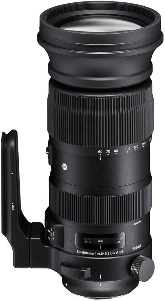 Amazon.co.jp: シグマ(Sigma) SIGMA シグマ Nikon Fマウント レンズ 60