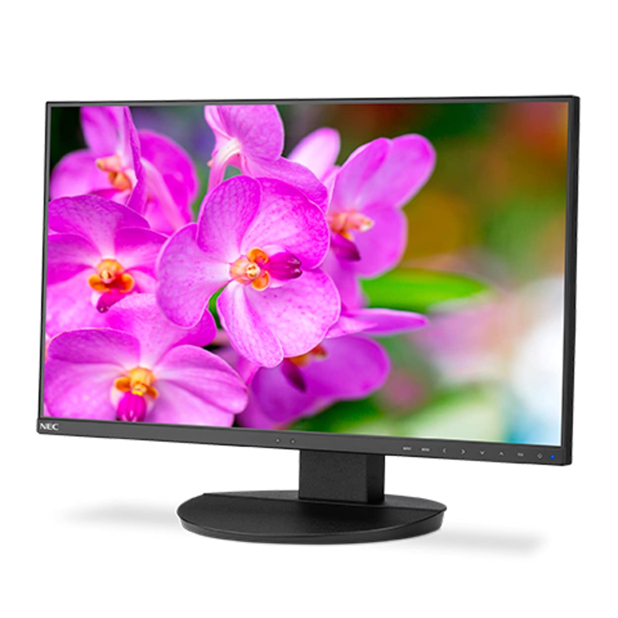 Amazon.com: NEC EA241F-BK 24 Full HD Business-Class Widescreen