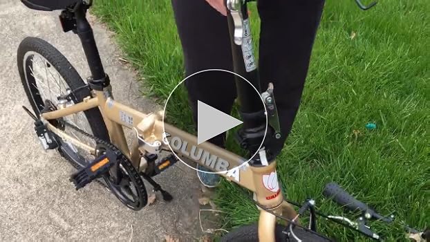Amazon.com : Columba 20