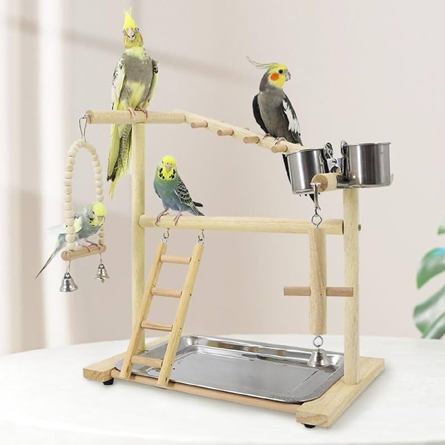 Amazon | インコ 遊び場、止まり木、二層設計、バードアスレチック