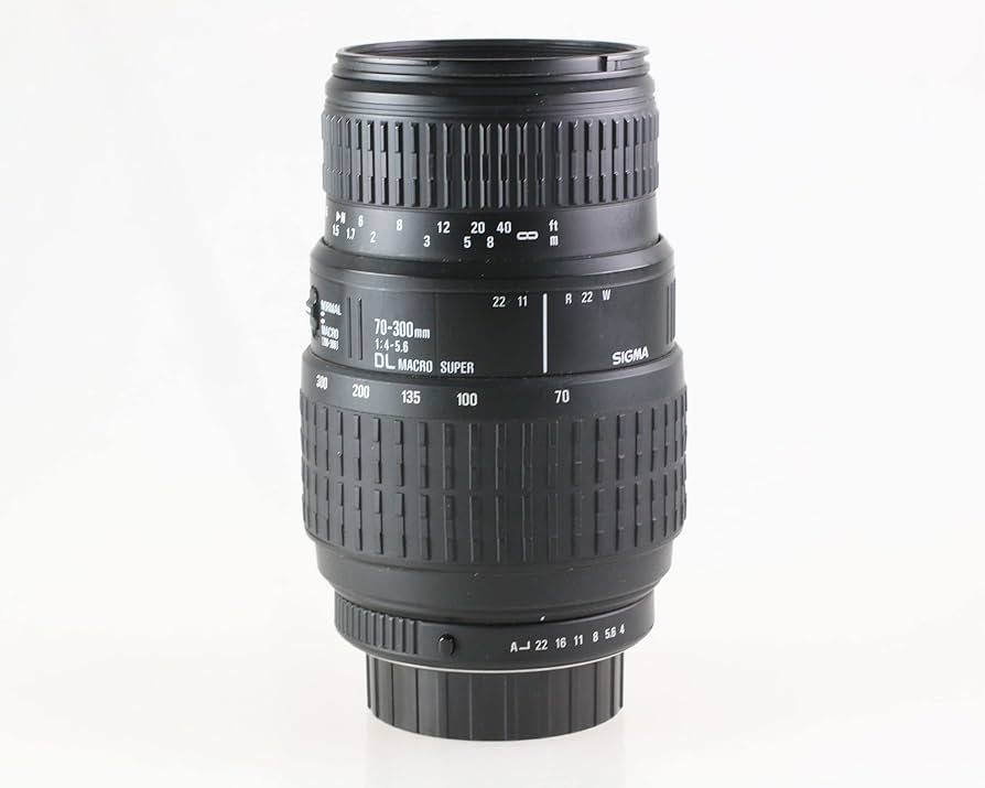 シグマ SIGMA APO 70-300mm F4-5.6 DG MACRO 【 PENTAX フルサイズ用