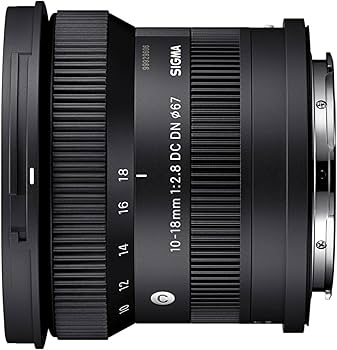 Amazon.com : Sigma 10-18mm F2.8 DC DN for L Mount : Electronics