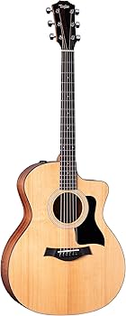 Amazon | Taylor Taylor 114ce グランドオーディトリアム