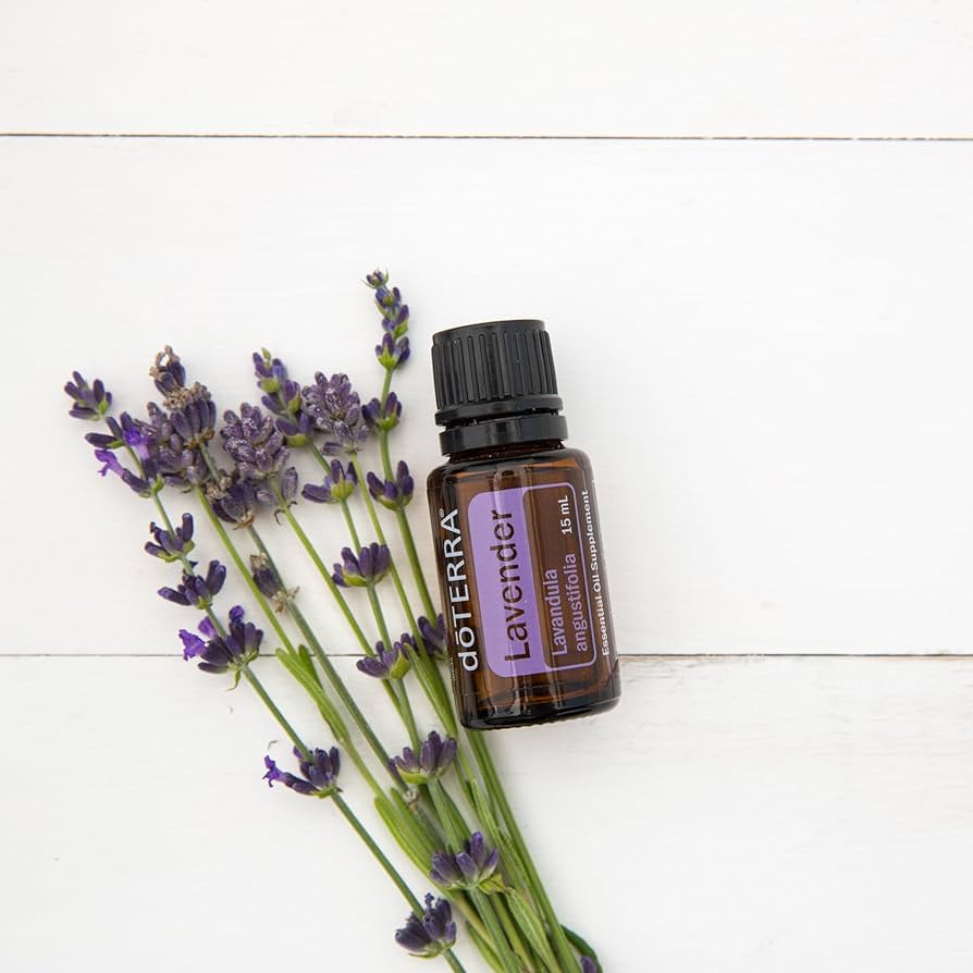 Amazon.com: doTERRA Lavender Essential Oil - 15 ml - 2 Pack