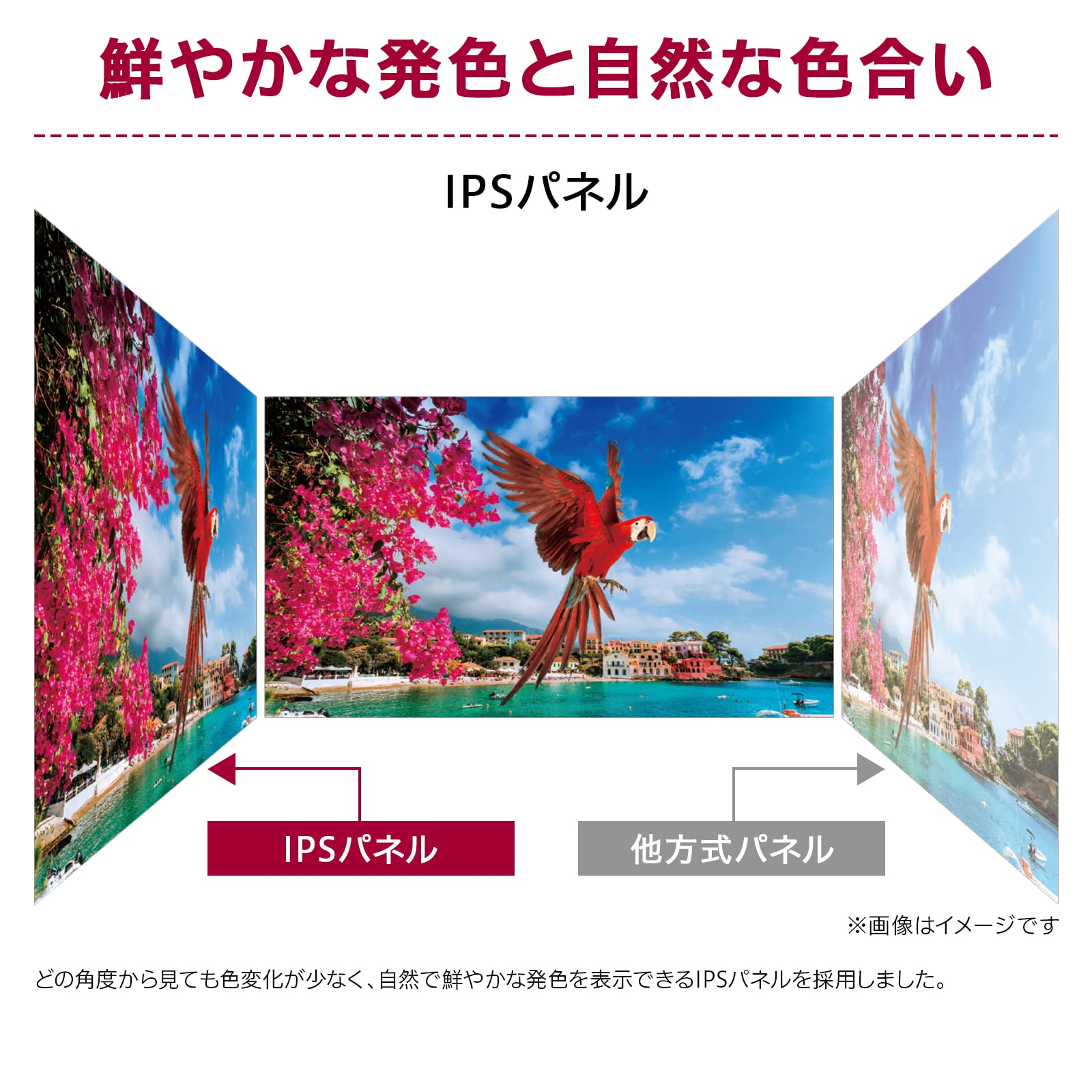 Amazon.co.jp: [Amazon.co.jp Exclusive] LG Monitor Display 29WL500