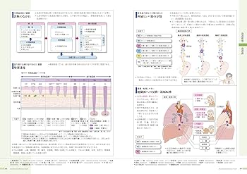 病気がみえる 〈vol.1〉 消化器 | 医療情報科学研究所 |本 | 通販 | Amazon