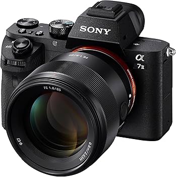 Sony Fe 85mm F1.8 Lens (SEL85F18/2), Black : Amazon.ca: Electronics