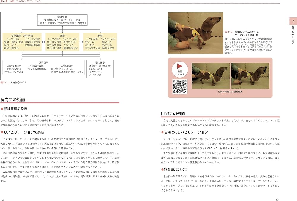 犬と猫のリハビリテーション学:疾患別の施術と飼い主指導 | 宮田 拓馬