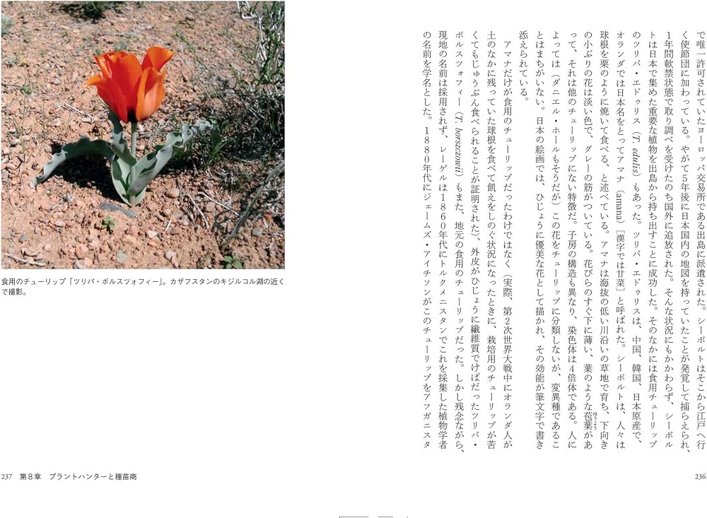 チューリップの文化誌 (花と木の図書館) | シーリア・フィッシャー
