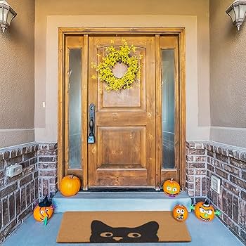 Amazon.com: UINI Door Mat Outdoor Indoor Welcome Mats, Cute Cat