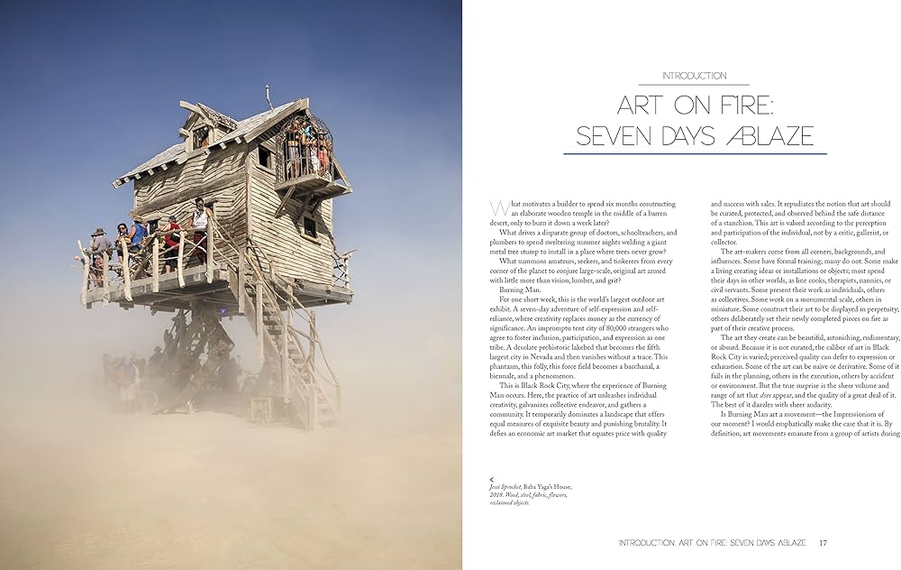 Amazon | Burning Man: Art on Fire: Revised and Updated Edition