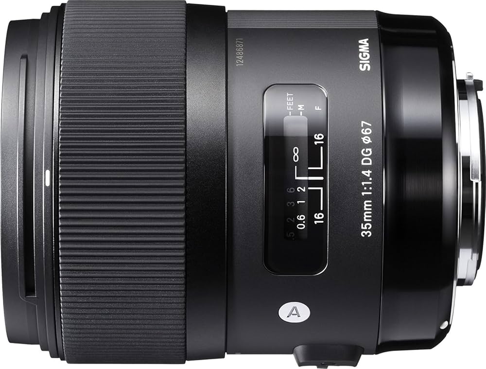 Amazon.co.jp: Art 35mm F1.4 DG HSM ソニー用 フルサイズ対応 : 家電