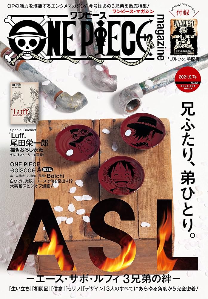 Amazon.co.jp: ONE PIECE magazine Vol.12 (ジャンプコミックスDIGITAL