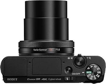 Sony Câmera digital Cyber-shot DSC-RX100 V 20,1 MP com OLED de 3