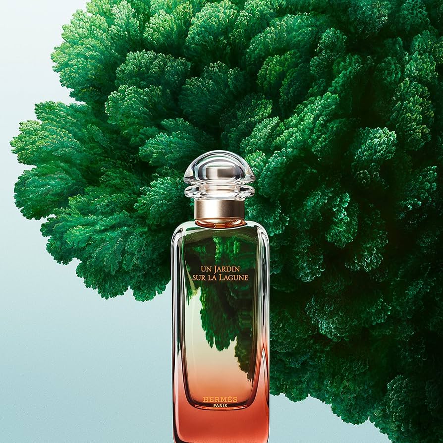 Amazon | エルメス ラグーナの庭 EDT SP 100ml [並行輸入品] | HERMES