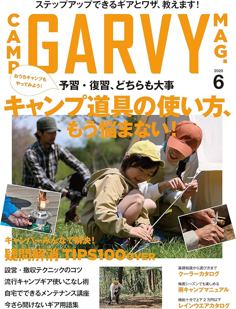 Amazon.co.jp: ガルヴィ2020年6月号 : 実業之日本社: Japanese Books