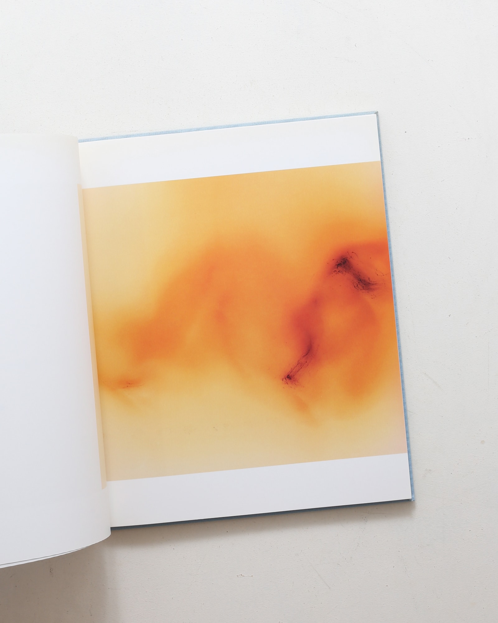 Freedom From The Known | Wolfgang Tillmans | nostos books ノストス