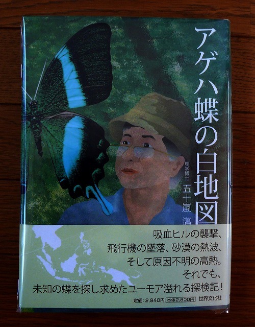 アゲハ蝶の白地図」 : 蝶・チョウ・ゆっくり歩き・・・「千蟲