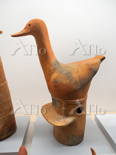 aflo_178549934.jpg