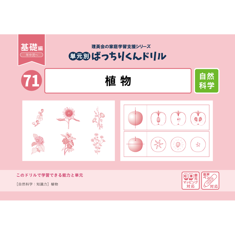 単元別ばっちりくんドリル 基礎編セット｜小学校受験 合格対策問題集